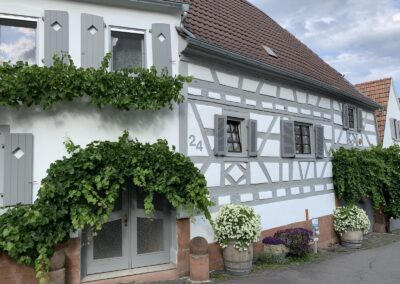 Ferienwohnung im Sambachhaus Gleiszellen, Foto 24