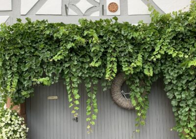 Ferienwohnung im Sambachhaus Gleiszellen, Foto 35